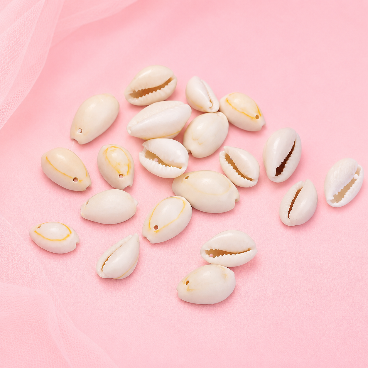 Cowrie Shells for Jewelry Making & DIY Crafts (12 pcs)