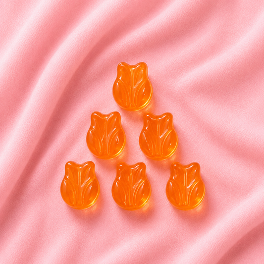 Tulip Flowers 6pcs